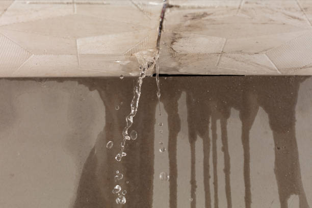 Professional Sewage Cleanup technician working in Sweetwater, FL